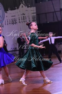 DSC_8673.JPG