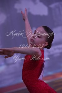 DSC_8943.JPG