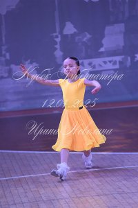 DSC_6585.JPG