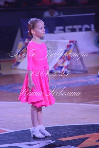 DSC_6845.JPG