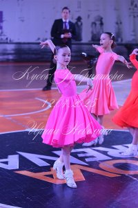 DSC_7806.JPG