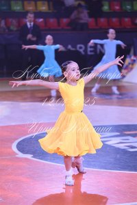 DSC_7917.JPG
