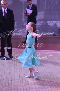 DSC_7337.JPG