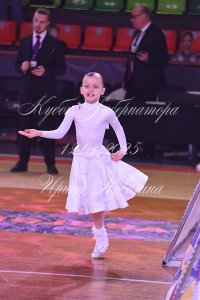 DSC_8282.JPG