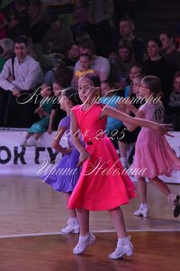 DSC_6462.JPG