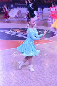 DSC_7931.JPG