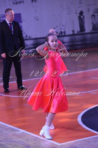 DSC_7585.JPG