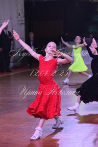 DSC_8950.JPG
