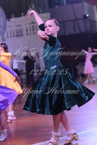 DSC_8653.JPG