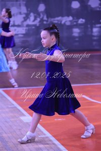 DSC_5538.JPG
