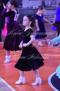 DSC_7317.JPG