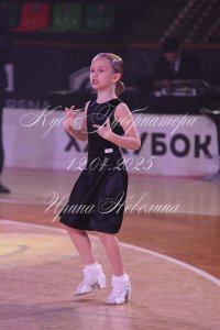 DSC_7338.JPG