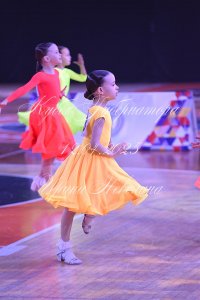 DSC_6531.JPG