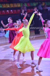 DSC_6481.JPG