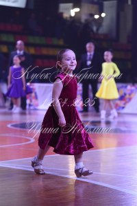 DSC_6748.JPG