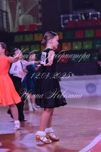 DSC_8654.JPG