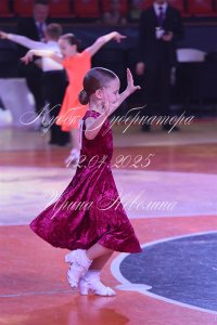 DSC_7981.JPG