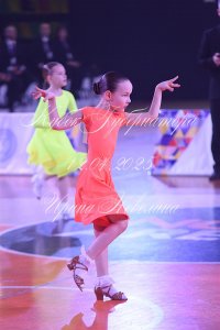 DSC_6513.JPG