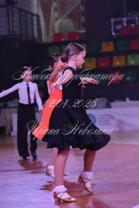 DSC_8648.JPG