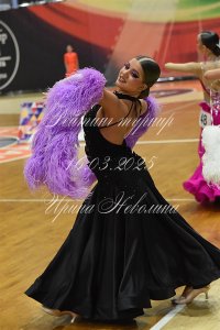 DSC_8558.JPG