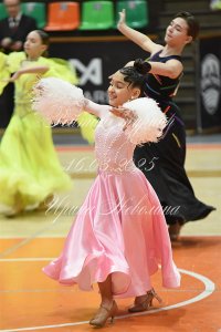 DSC_7926.JPG