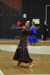 DSC_8674.JPG