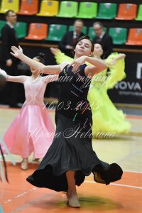 DSC_7919.JPG