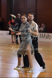 DSC_7928.JPG