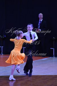 DSC_8184.JPG